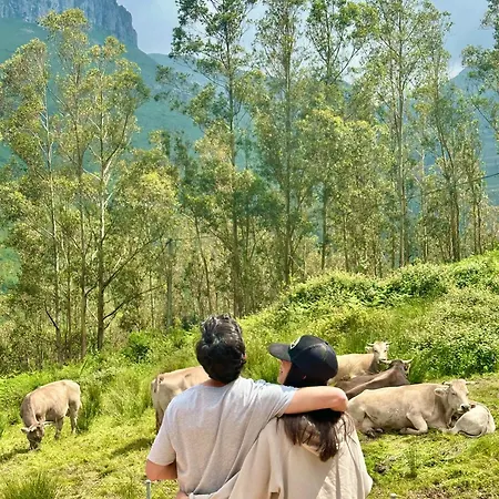 Del Valle, Valles Chalet *