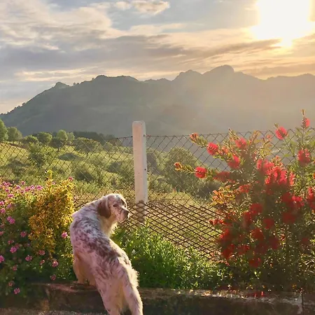 Del Valle, Valles Alpesi faház *