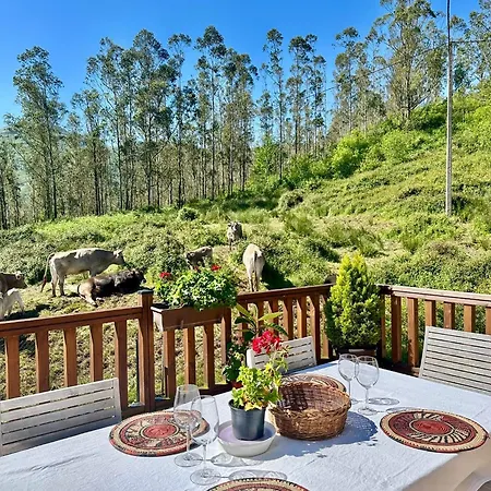 Del Valle, Valles Liérganes