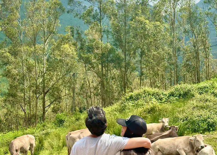 Del Valle, Valles Chalet *