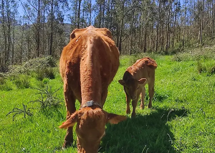Chalet Del Valle, Valles *