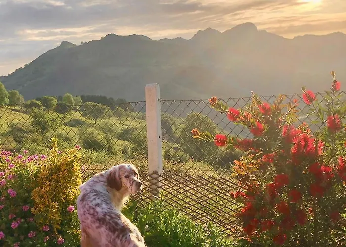 Del Valle, Valles Chalet *