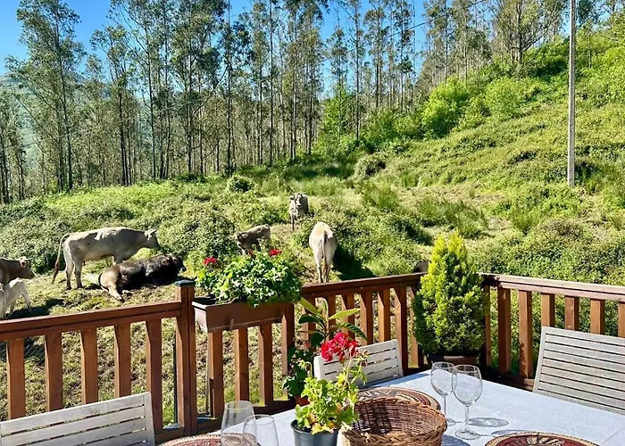 Del Valle, Valles Liérganes